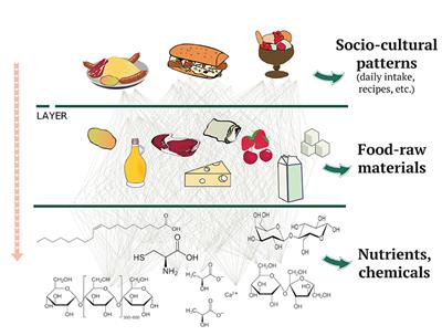 A Need for a Paradigm Shift in Healthy Nutrition Research